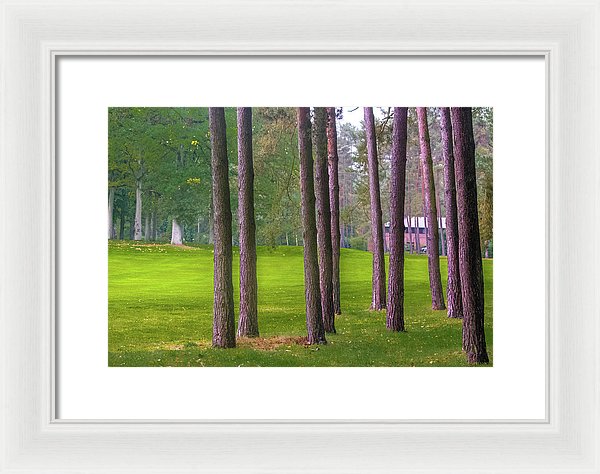 Serenity - Framed Print