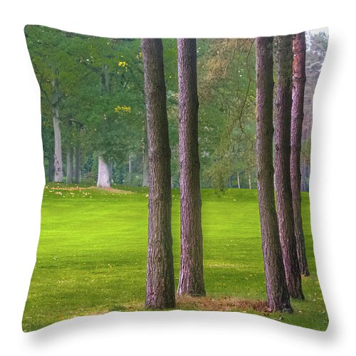 Serenity - Throw Pillow