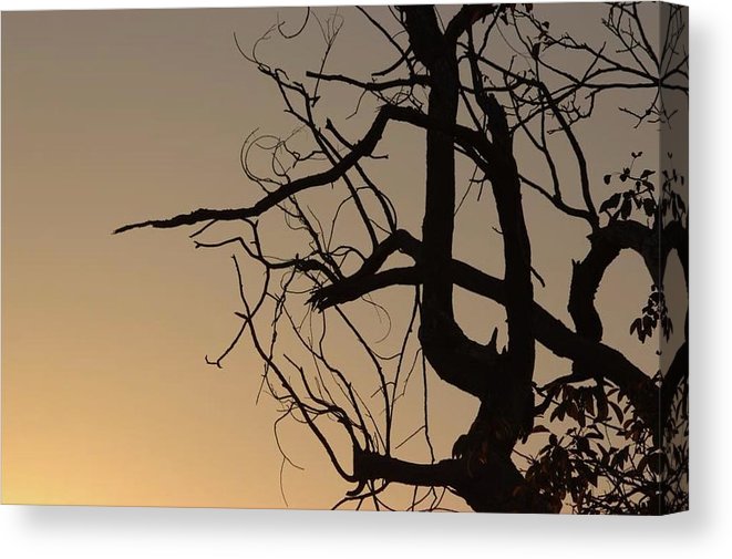 Shades Of Orange - Canvas Print