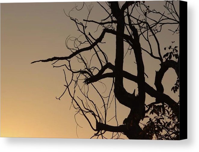 Shades Of Orange - Canvas Print