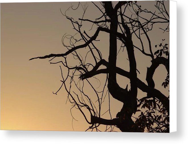 Shades Of Orange - Canvas Print