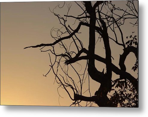 Shades Of Orange - Metal Print