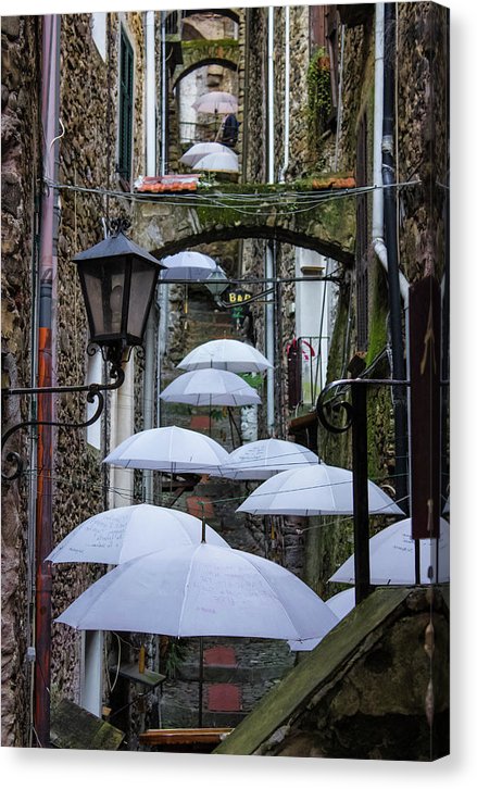 Shelter For The Rain - Canvas Print