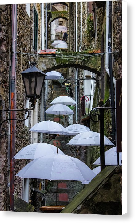 Shelter For The Rain - Canvas Print