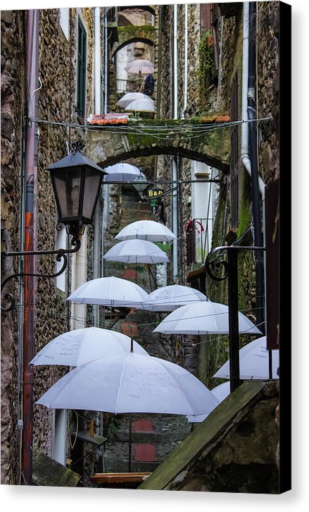 Shelter For The Rain - Canvas Print