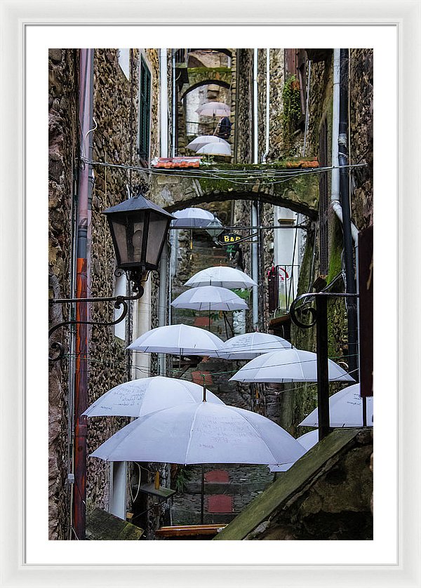 Shelter For The Rain - Framed Print