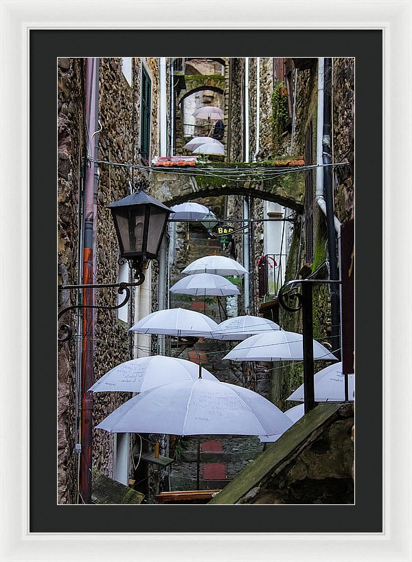 Shelter For The Rain - Framed Print