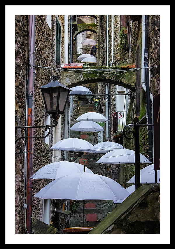 Shelter For The Rain - Framed Print