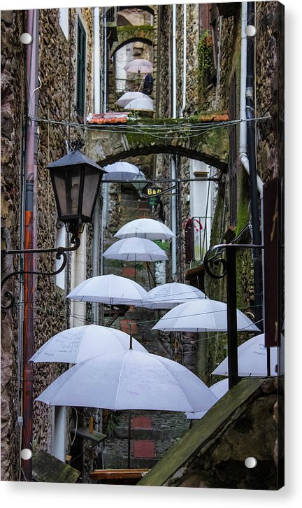 Shelter For The Rain - Acrylic Print
