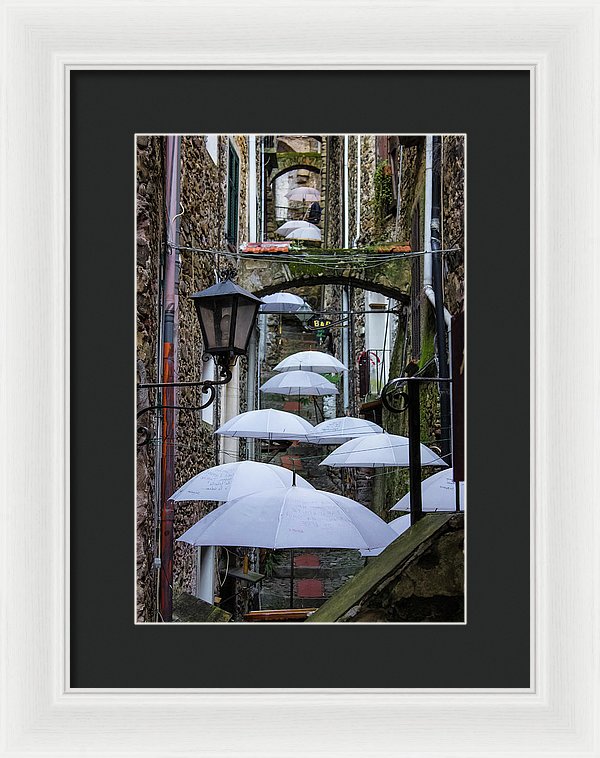 Shelter For The Rain - Framed Print