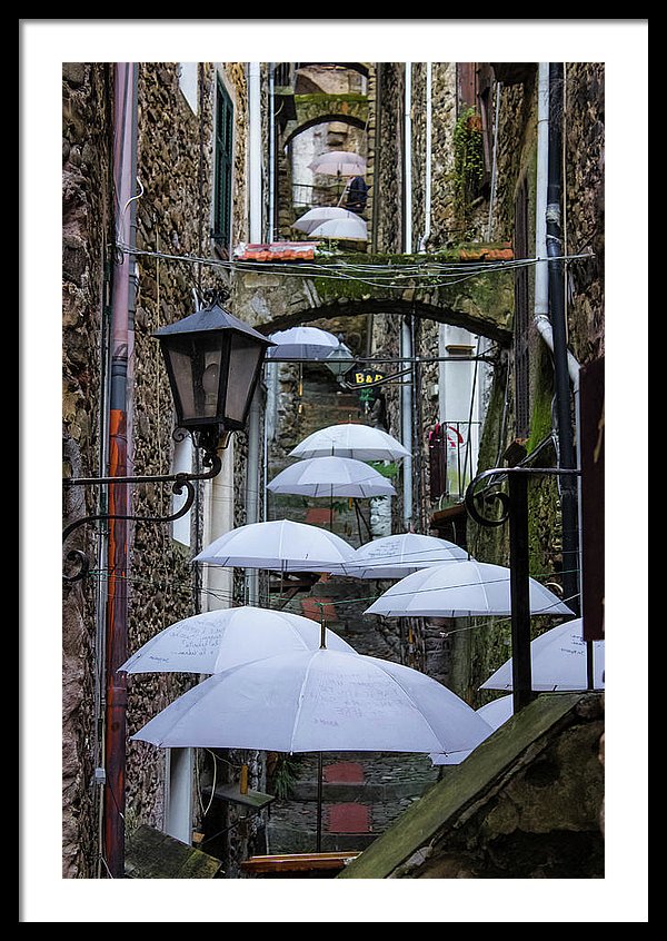 Shelter For The Rain - Framed Print