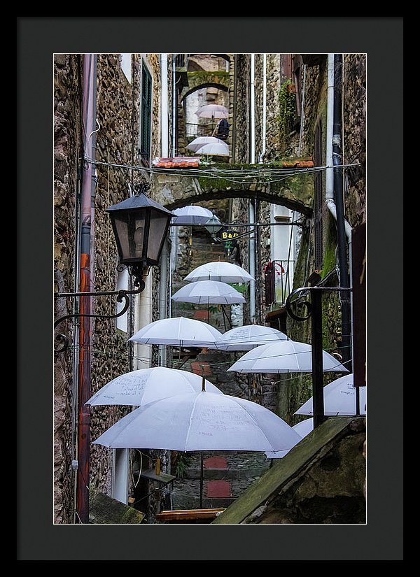 Shelter For The Rain - Framed Print