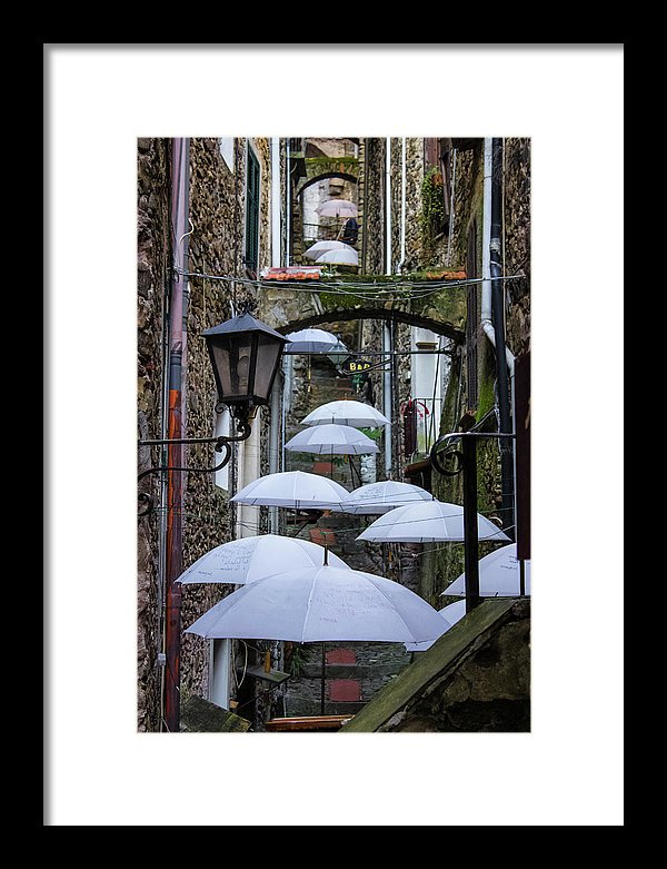 Shelter For The Rain - Framed Print