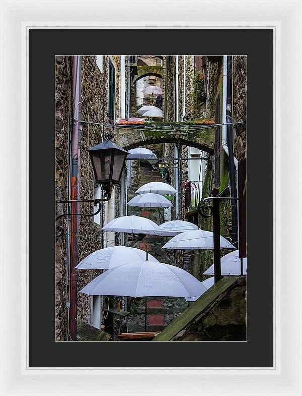 Shelter For The Rain - Framed Print