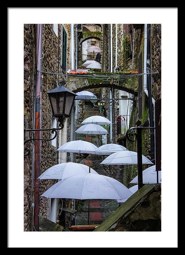 Shelter For The Rain - Framed Print