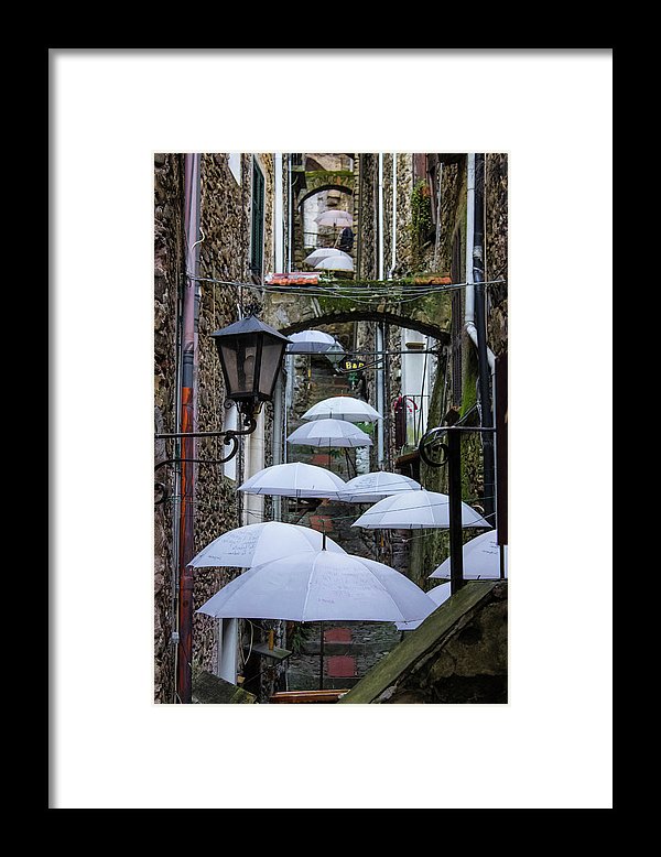 Shelter For The Rain - Framed Print