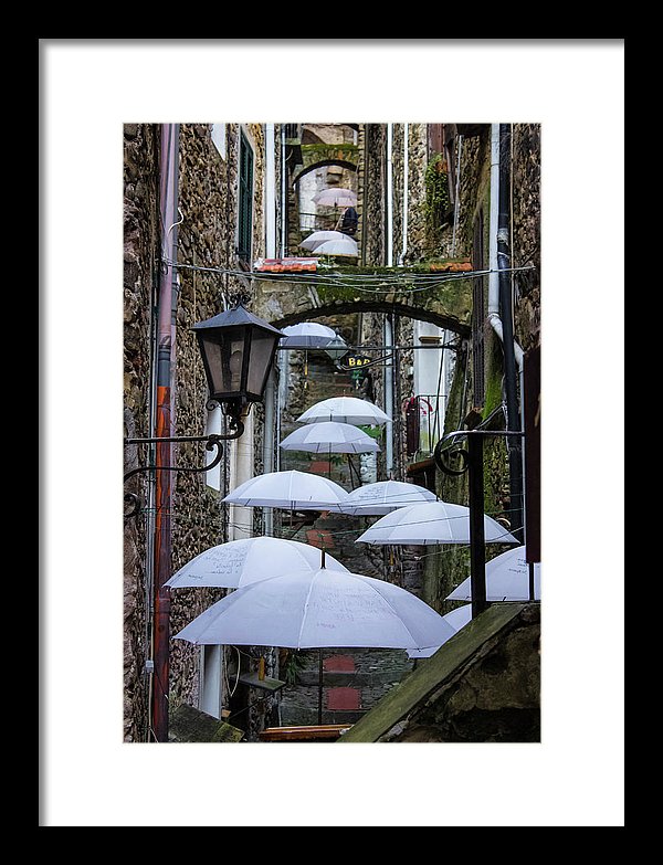 Shelter For The Rain - Framed Print