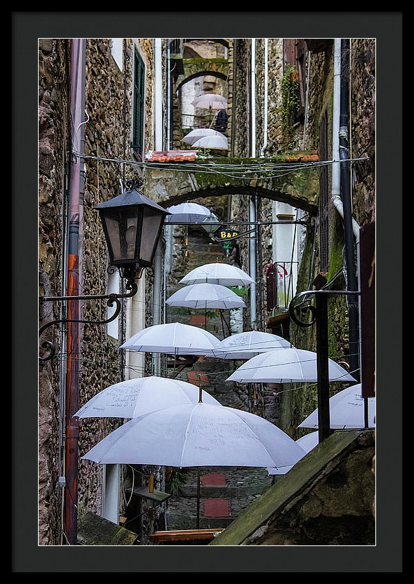 Shelter For The Rain - Framed Print