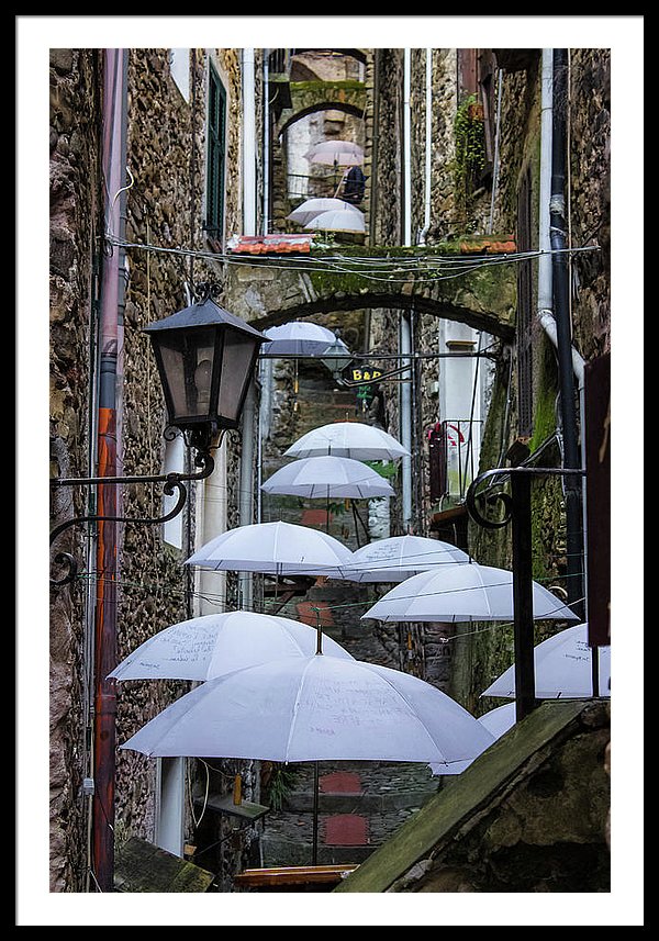 Shelter For The Rain - Framed Print