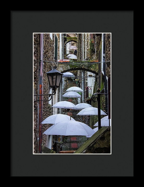 Shelter For The Rain - Framed Print