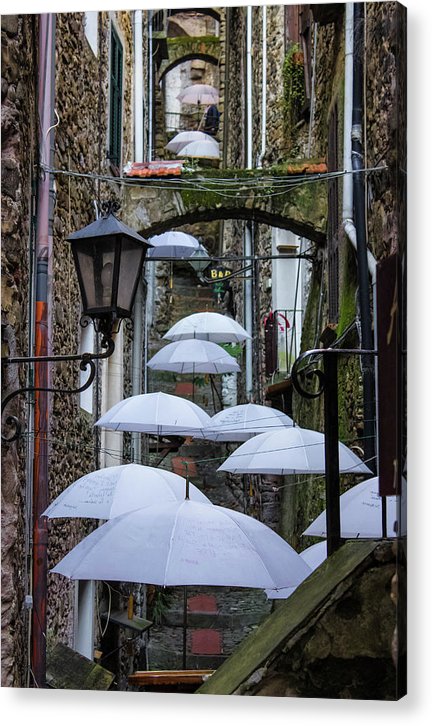 Shelter For The Rain - Acrylic Print