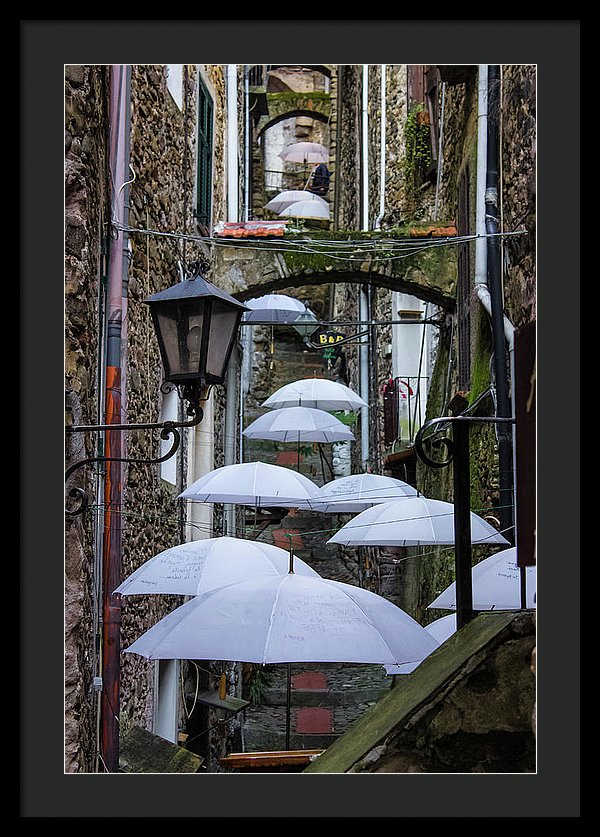 Shelter For The Rain - Framed Print