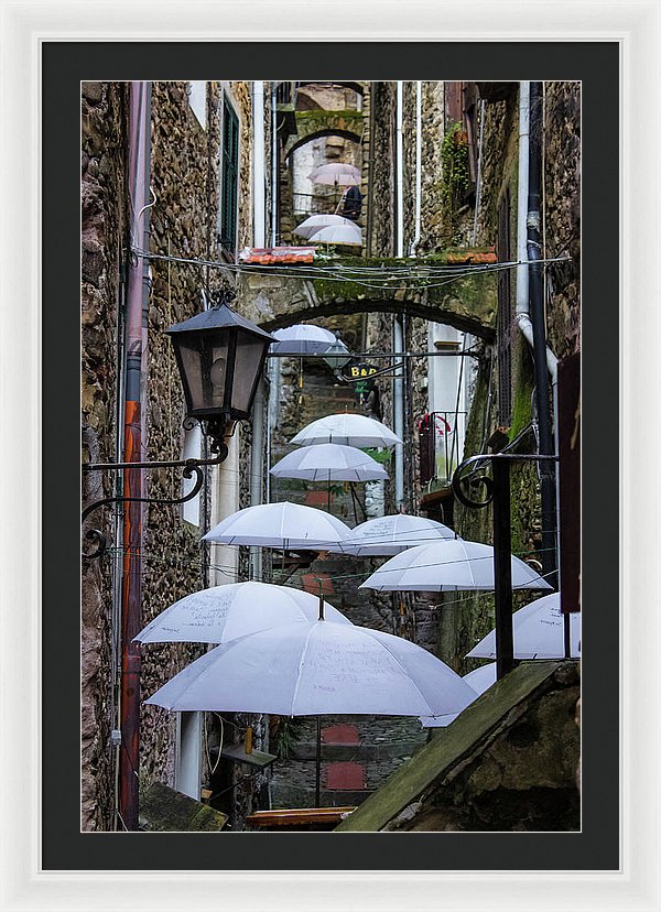 Shelter For The Rain - Framed Print