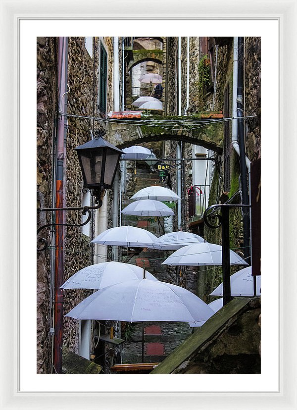 Shelter For The Rain - Framed Print