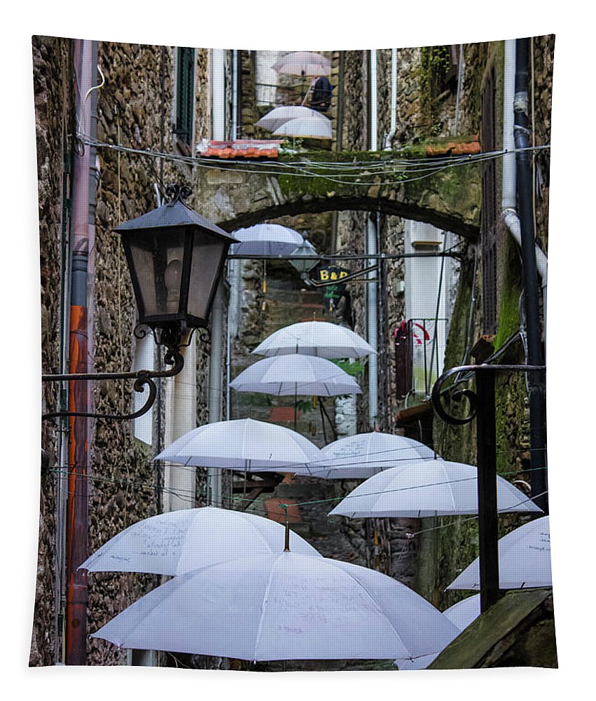 Shelter For The Rain - Tapestry