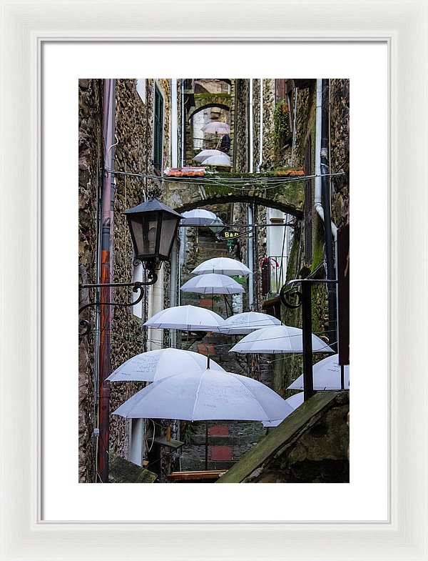 Shelter For The Rain - Framed Print