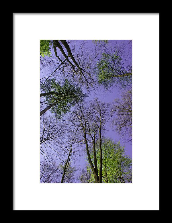 Sky Limit - Framed Print