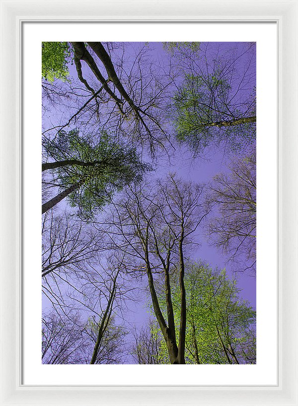 Sky Limit - Framed Print