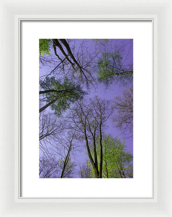 Sky Limit - Framed Print