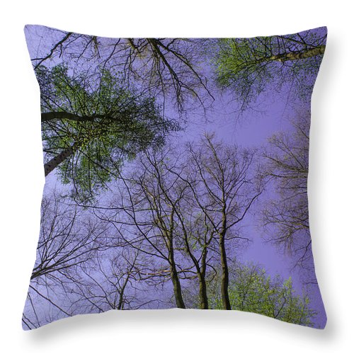 Sky Limit - Throw Pillow