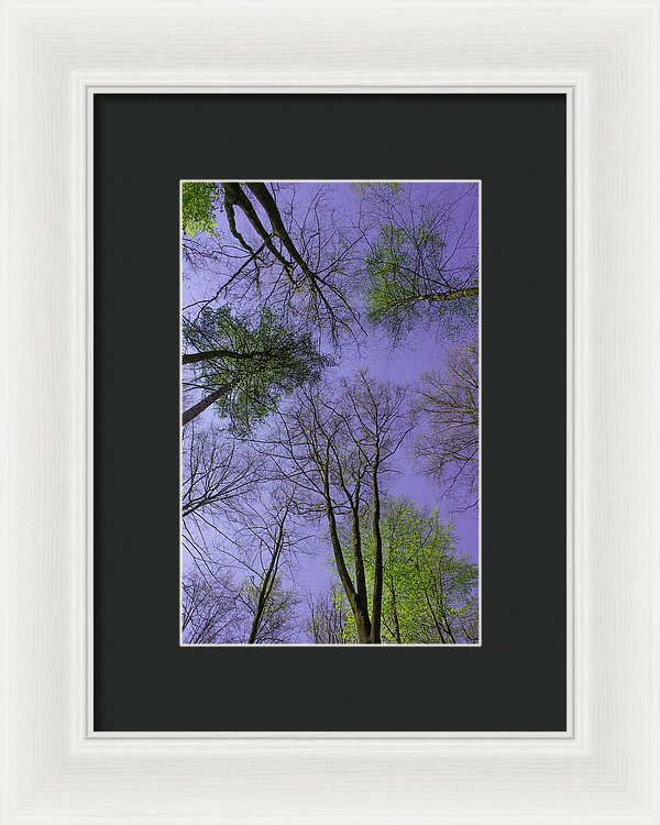 Sky Limit - Framed Print