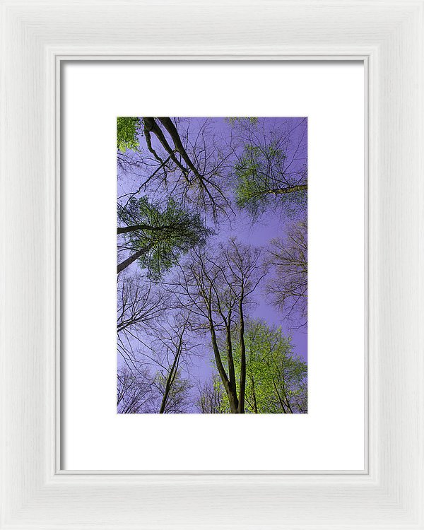 Sky Limit - Framed Print