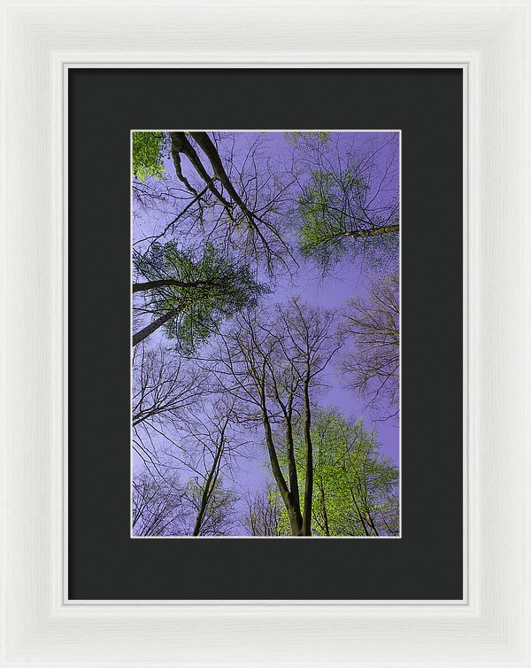 Sky Limit - Framed Print