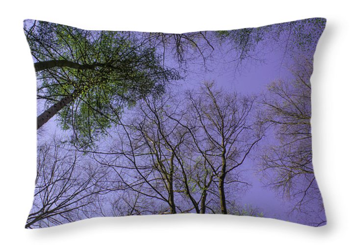 Sky Limit - Throw Pillow