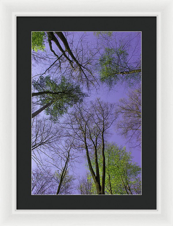 Sky Limit - Framed Print