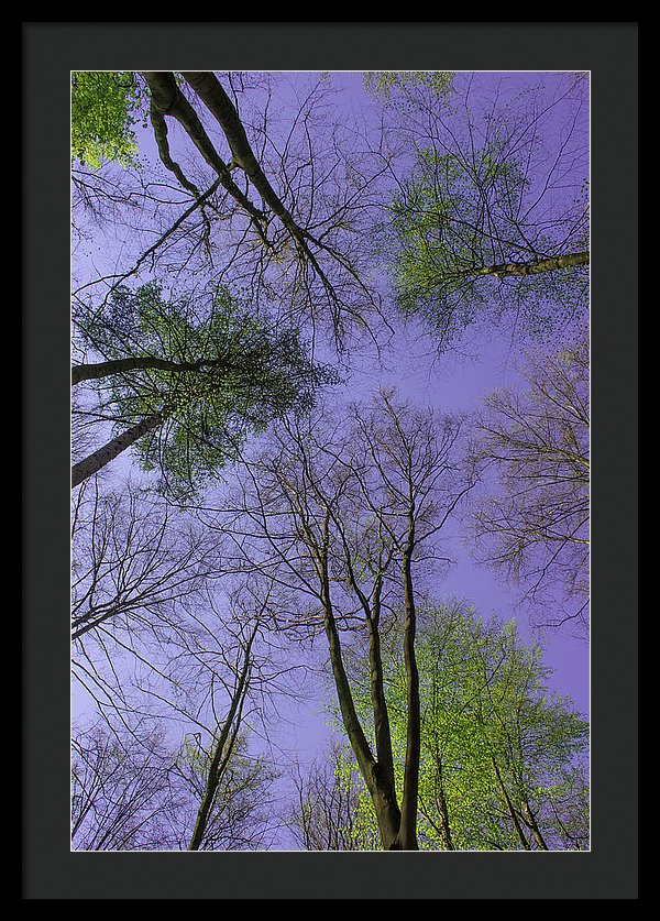 Sky Limit - Framed Print