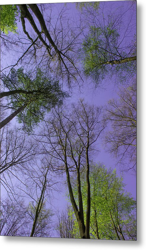 Sky Limit - Metal Print