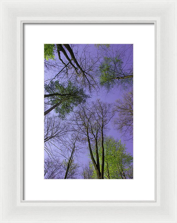 Sky Limit - Framed Print