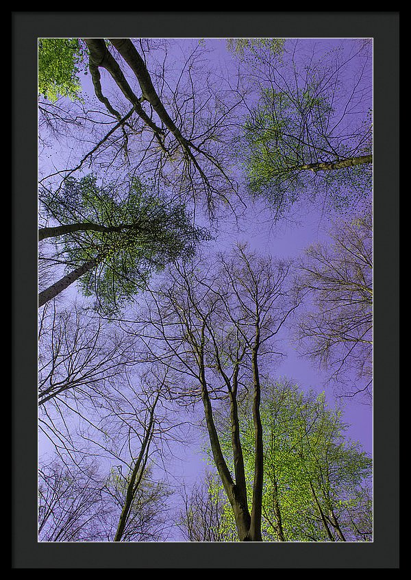 Sky Limit - Framed Print