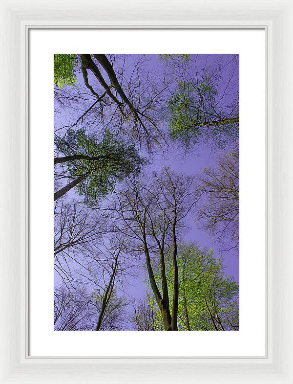 Sky Limit - Framed Print