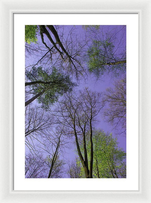 Sky Limit - Framed Print