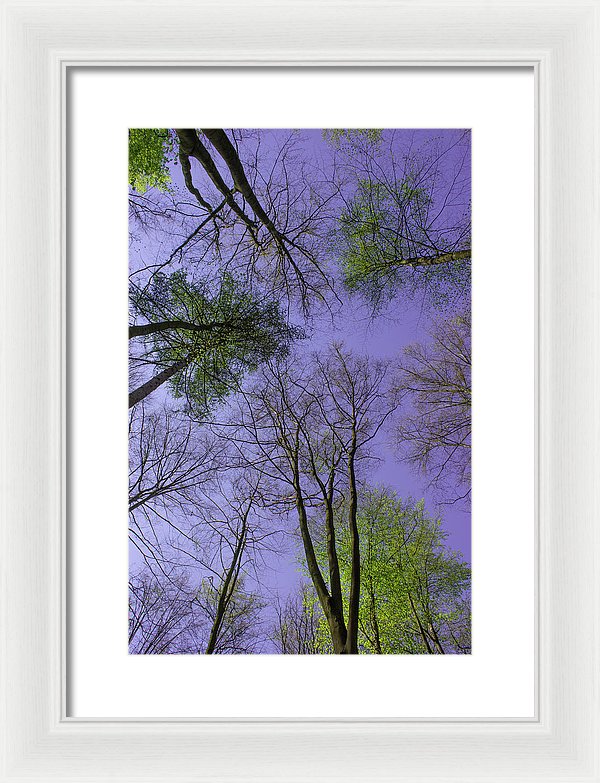 Sky Limit - Framed Print