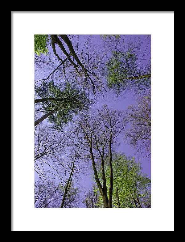 Sky Limit - Framed Print