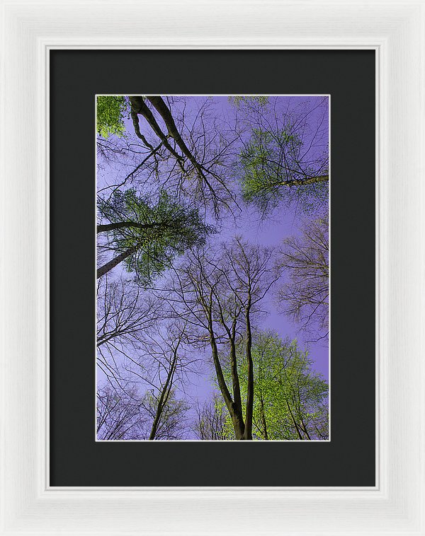 Sky Limit - Framed Print