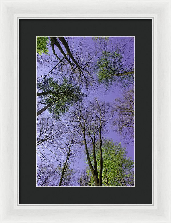 Sky Limit - Framed Print