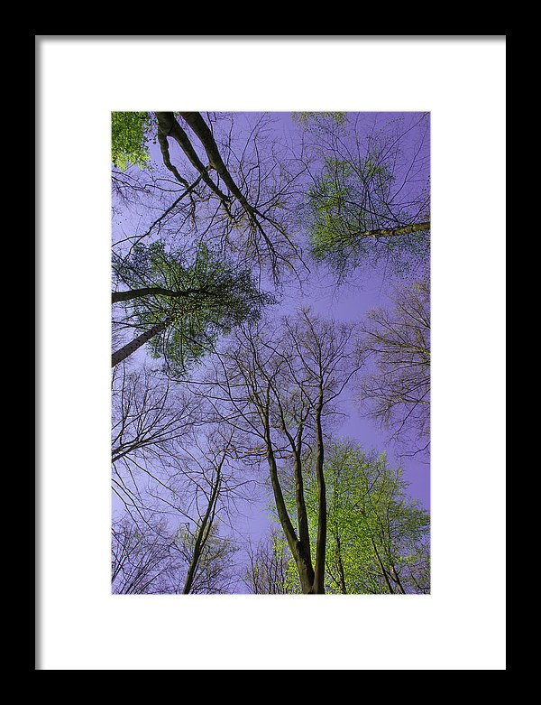 Sky Limit - Framed Print